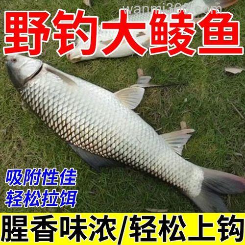 钓麦鲮鱼最佳饵料配方?