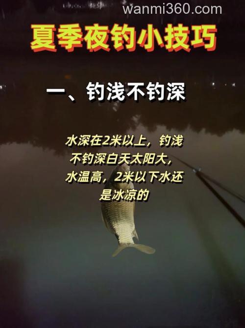 晚上夜钓的技巧?