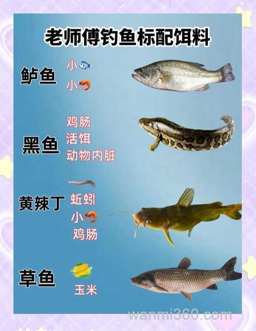请问一下,钓草鱼,大头鱼和罗非分别用什么饵料好?