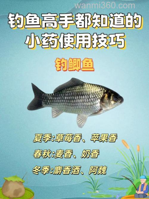 钓鱼小药怎么用的,谁知道?