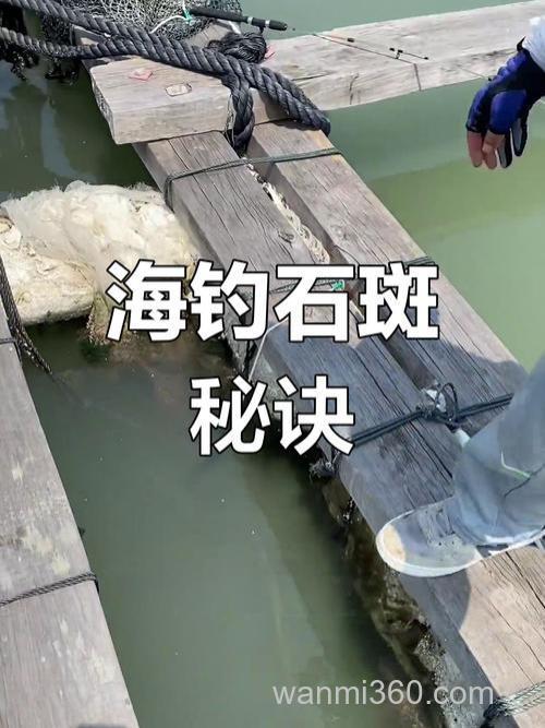 海钓场钓石斑鱼的技巧与方法,如何选钓位很关键