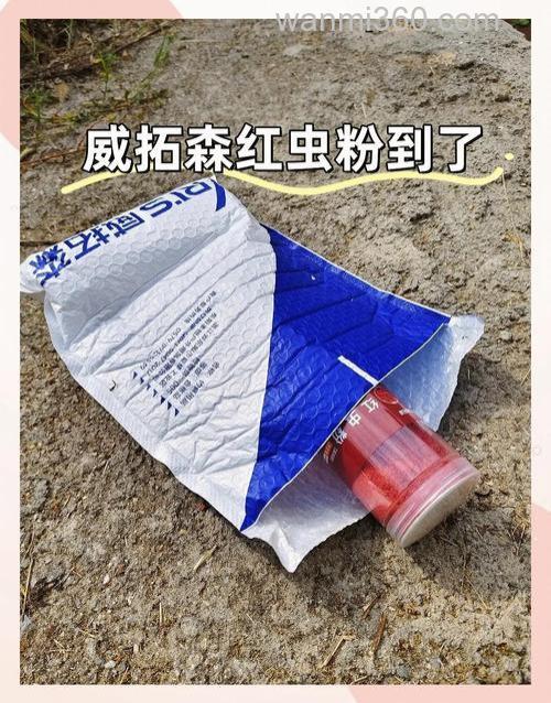 红虫粉配什么料钓鲫鱼最佳?