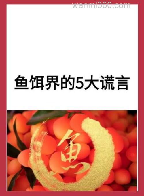 鱼饵界的5大谎言