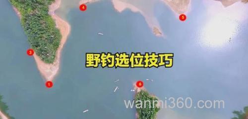 嫩高粱怎么钓鱼？