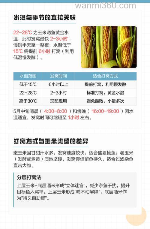 什么时候用玉米钓鲤鱼好使？