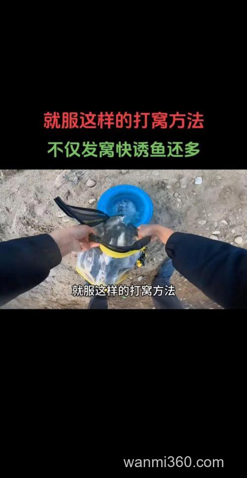 钓鲫鱼的窝底怎么配?