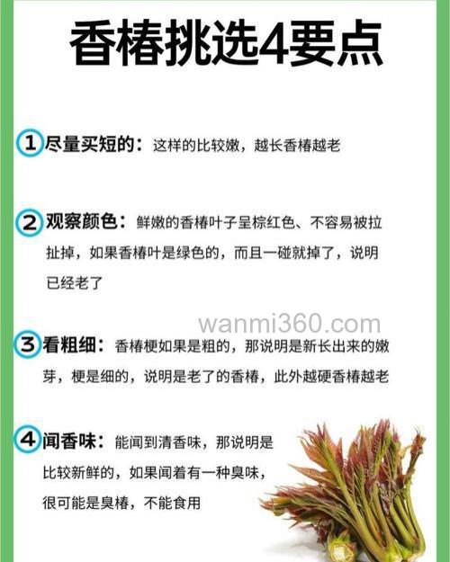 香椿钓鱼最佳配方?