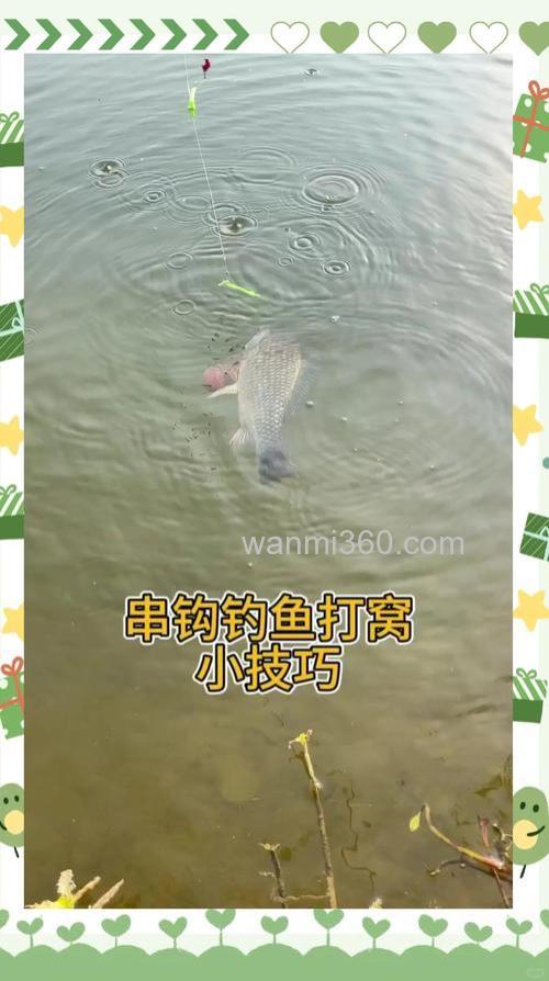 串钩怎么钓鲫鱼