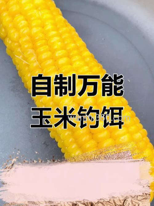 玉米用甚么配料钓鱼好