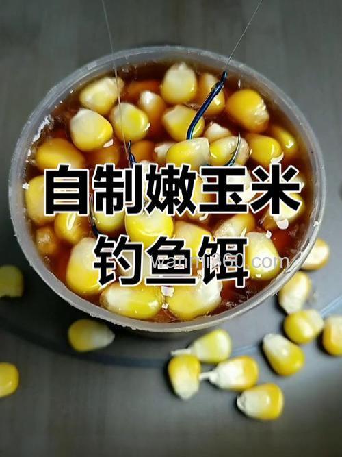 玉米面软饵做法钓鲤鱼或鲫鱼