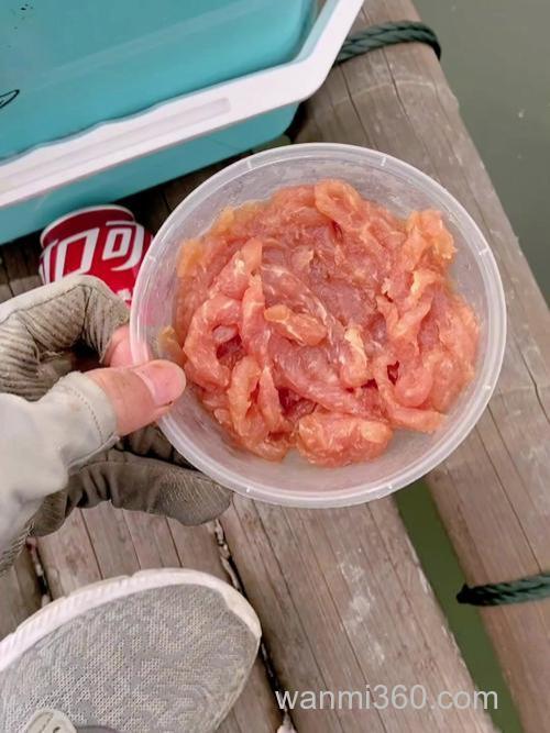 猪肉可以用来钓鱼吗?