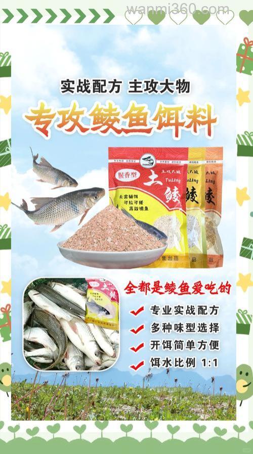 钓鲮鱼与鲤鱼同时开什么饵料?