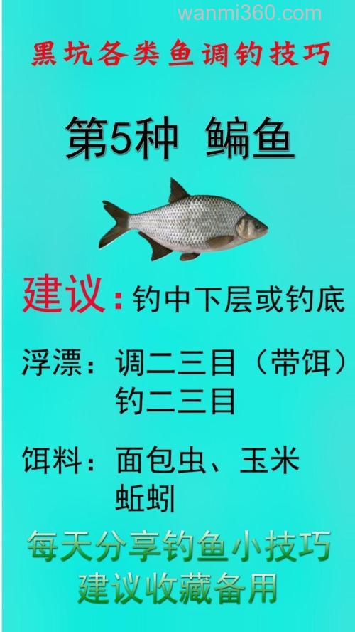 春天钓鳊鱼用什么商品饵？