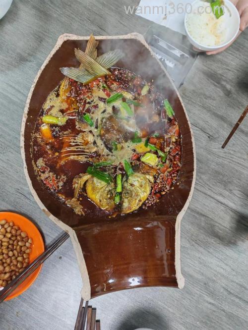 坛子鱼是什么鱼?
