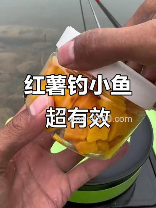 红薯和腥味料混合钓鱼好吗？
