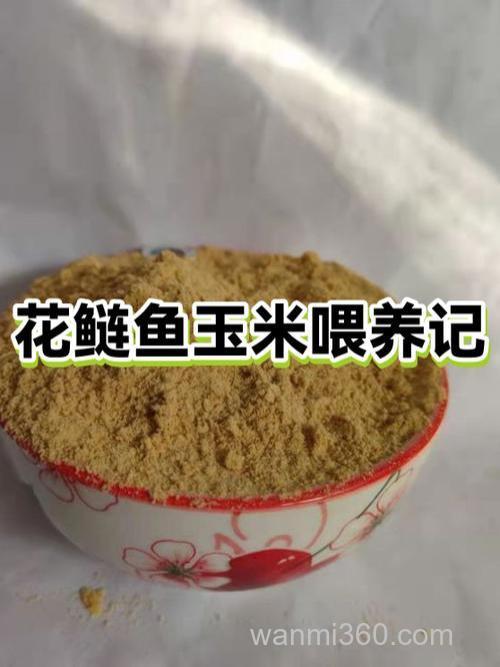 花鲢鱼喜欢吃玉米吗？