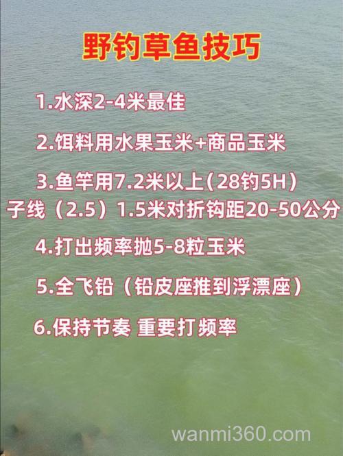 钓鱼草鱼的饵料怎么配