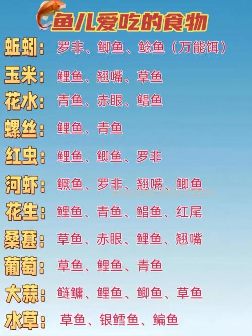 鱼食怎么调配