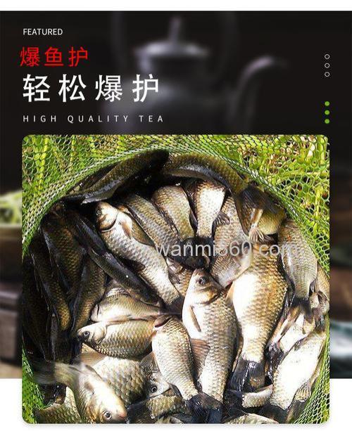 野钓水库钓鲤鱼用麝香玉米粒可以吗？