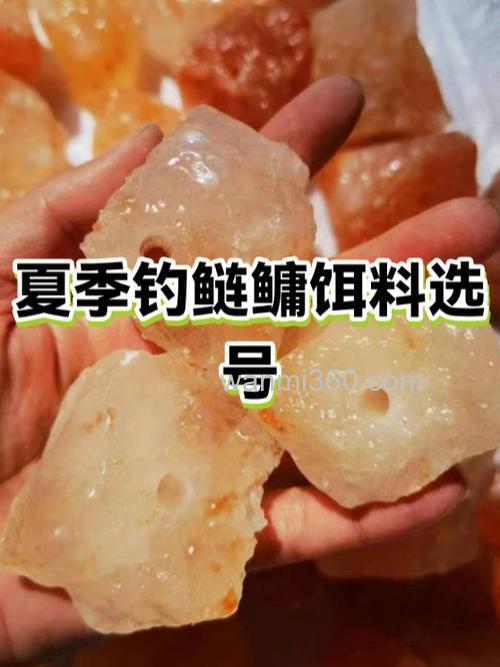 春季钓鲢鳙不开口是饵料问题吗