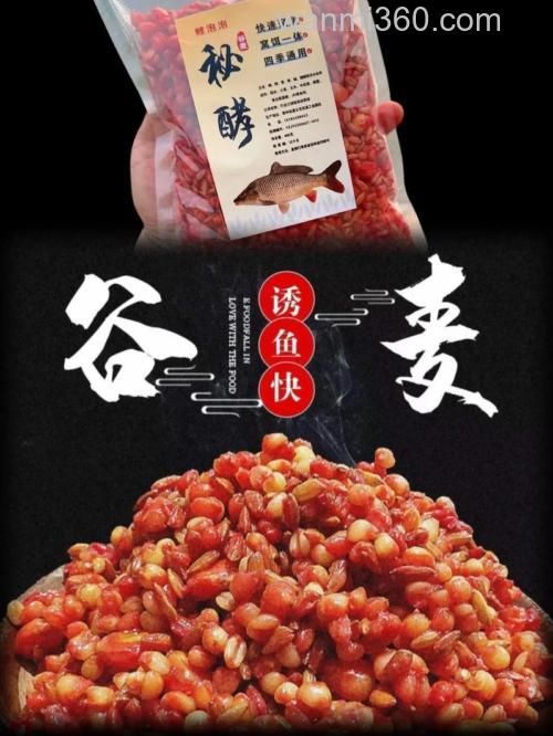 谷麦饵料适合野钓吗？