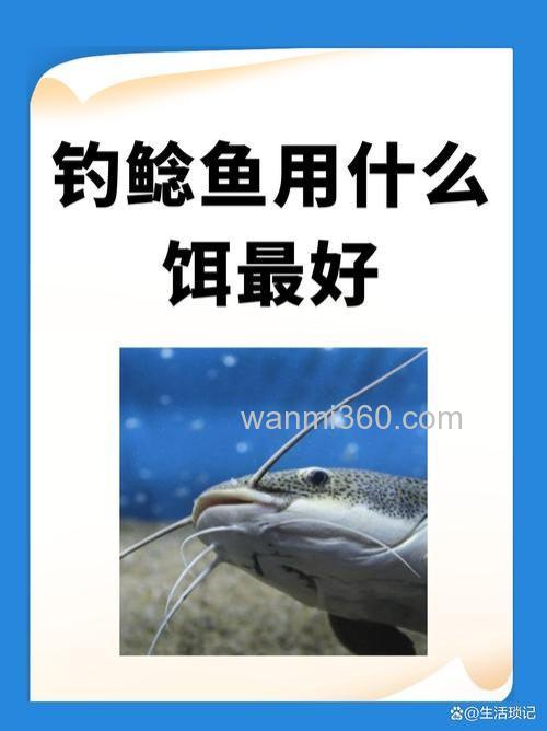 钓野生鲶鱼用什么饵好