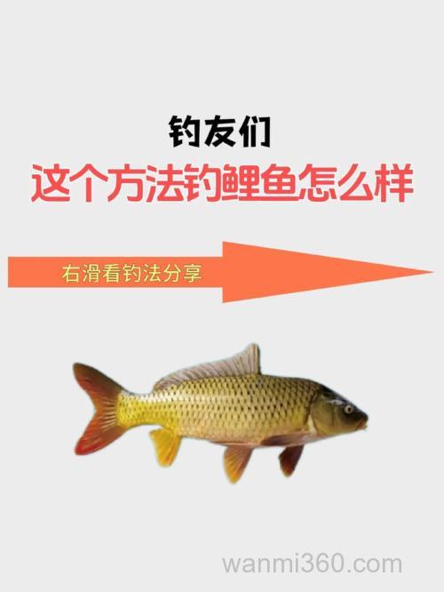 冬天钓鲤鱼打窝的最佳配方?