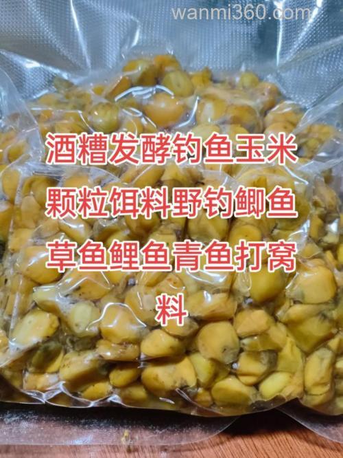 钓青鱼玉米用白酒泡还是啤酒泡?