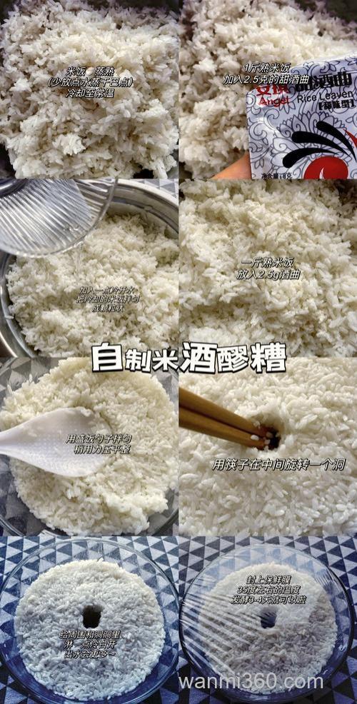 拜求醪糟粬子的做法