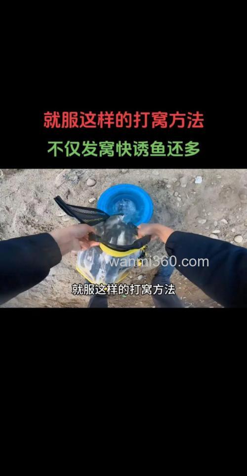 夜钓鲫鱼先打窝后开灯还是先开灯后打窝?