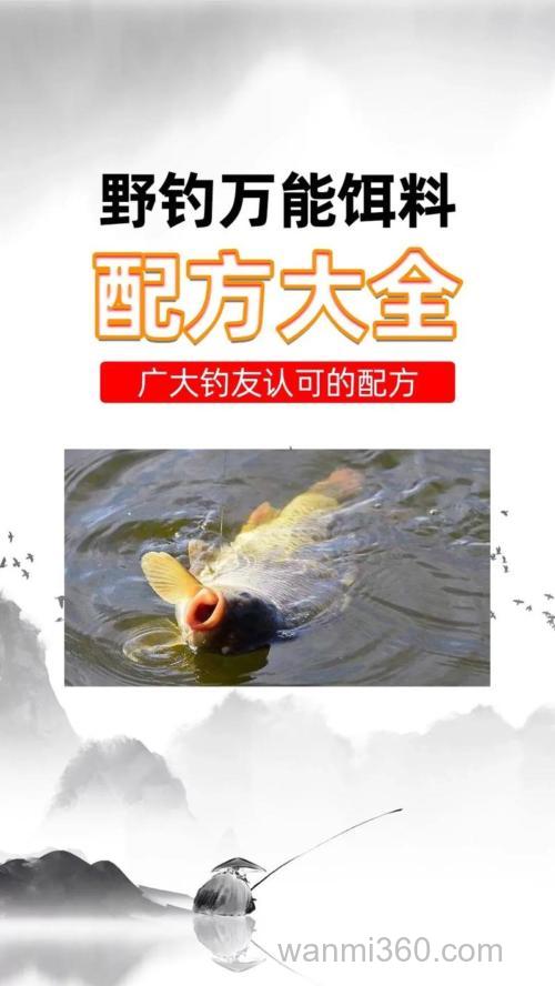 如何利用“酸”和“臭”来配置钓鲢鳙鱼饵配方