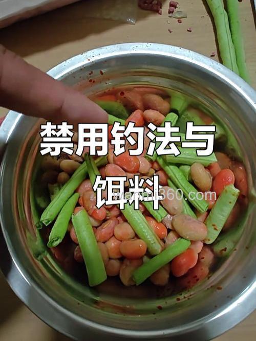 豆角钓青鱼绝密配方?