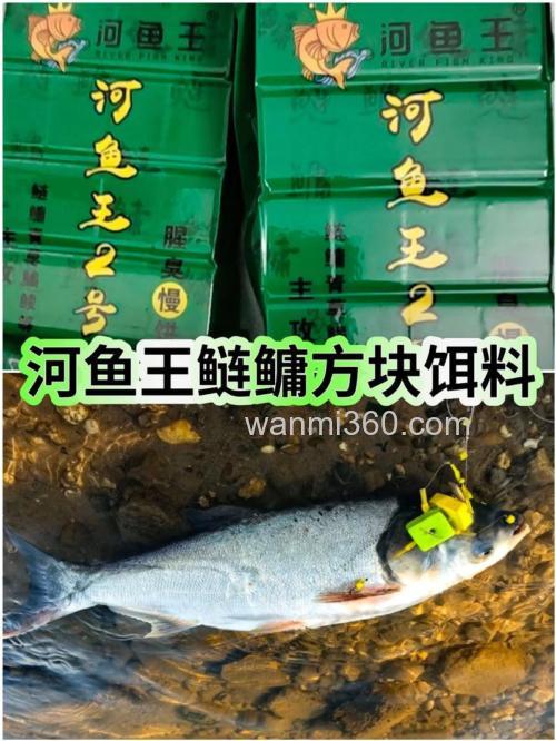 鲢鳙王这款饵料怎么样?