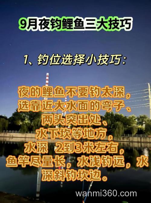 怎样钓鲤鱼视频