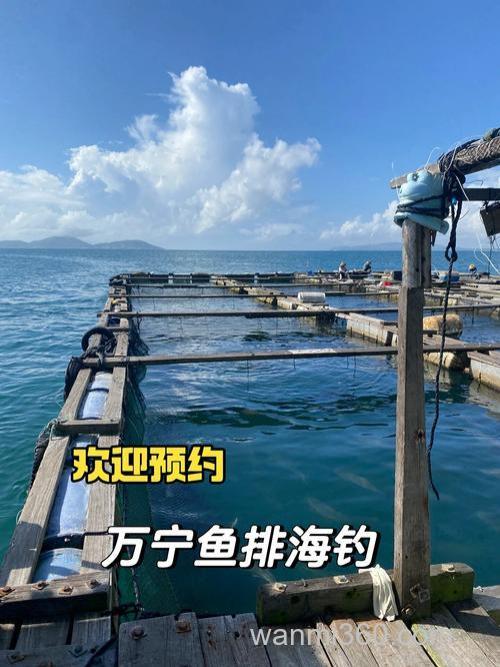 海钓鱼排的独特方式及钓位选择,助你提升渔获