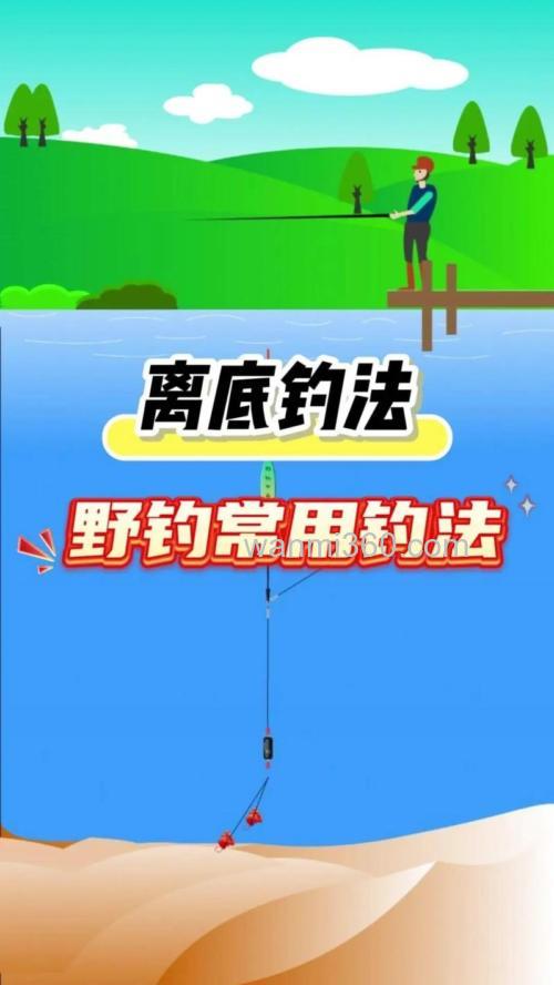 鲤鱼钓法技巧野钓