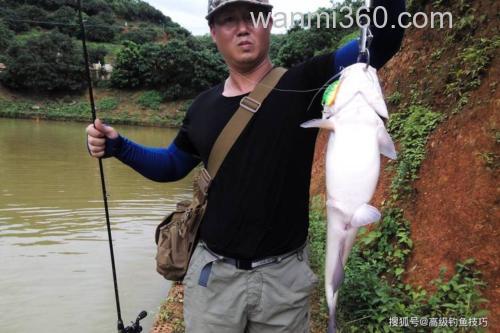 臭鱼饵钓鲶鱼全过程？