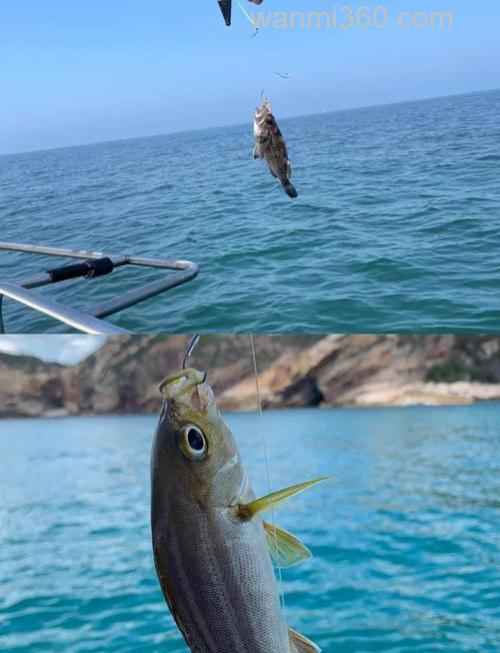 手海钓魅力大受青睐,选钓点看潮汐季节及鱼种