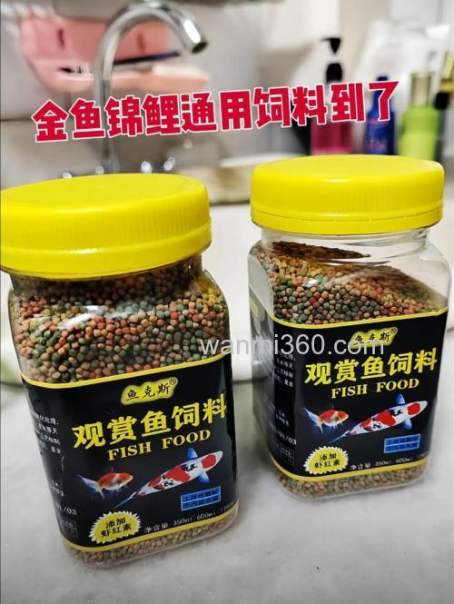 养殖鲤鱼爱吃什么饵料?