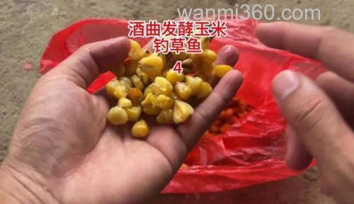 酒曲对钓鱼的作用?