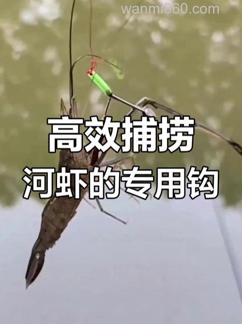 钓野虾的乐趣与技巧，这些工具和方法你知道吗？
