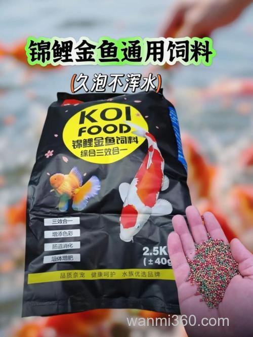 鲤鱼饲料可以喂鱼吗?