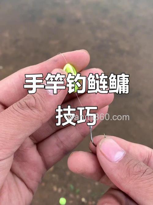 求视频:手杆钓鲢鱼饵料及使用方法