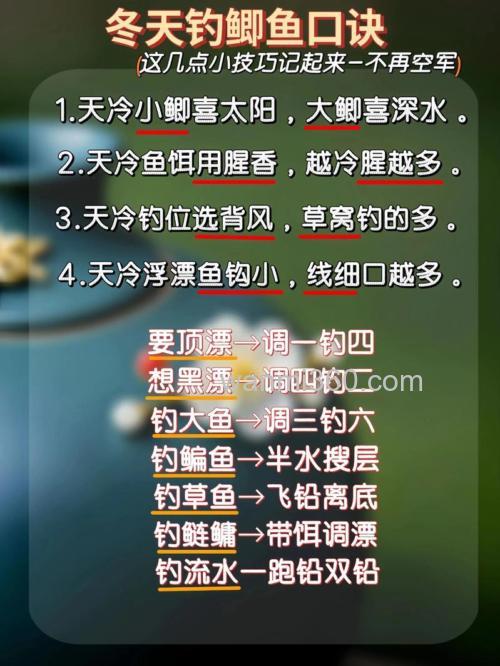 冬季野外钓鲫鱼的实用技巧,这些钓位选择你知道吗?