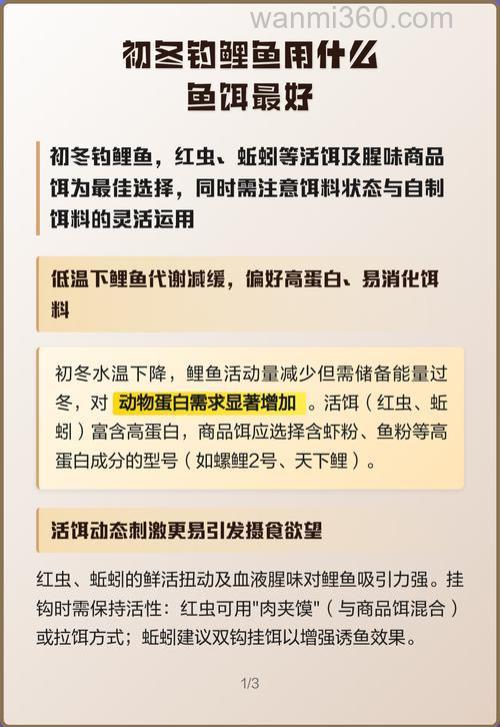 钓鲤鱼用什么商品饵最好？