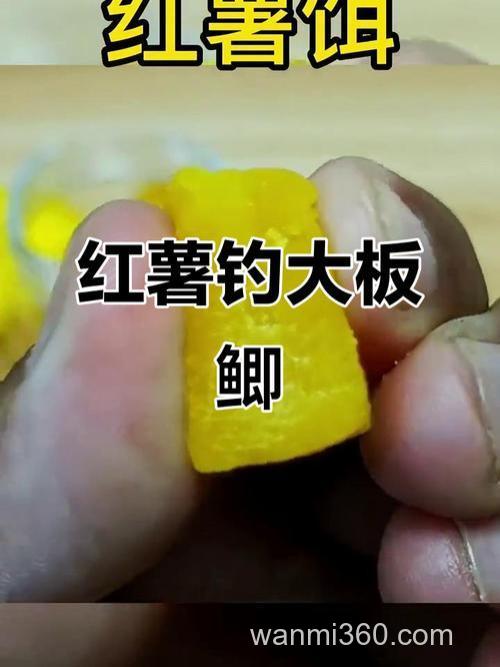 红薯钓鱼真的管用么?