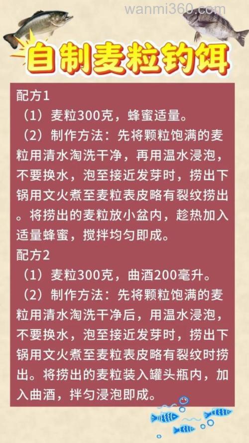 臭麦粒钓鱼绝密配方?