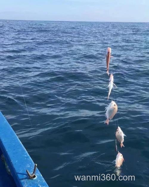 海钓拖钓知多少?掌握技巧与装备选择,体验刺激海钓