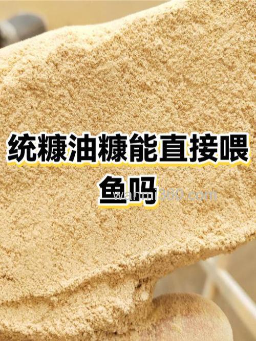 米糠可以直接喂鱼会死吗？