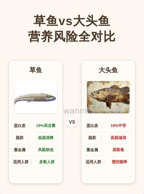 大头鱼和草鱼吃什么饲料?